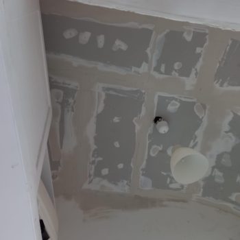 10022bbd-d69b-4b1e-ae90-9687d9471190